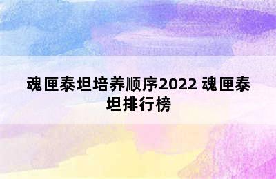 魂匣泰坦培养顺序2022 魂匣泰坦排行榜